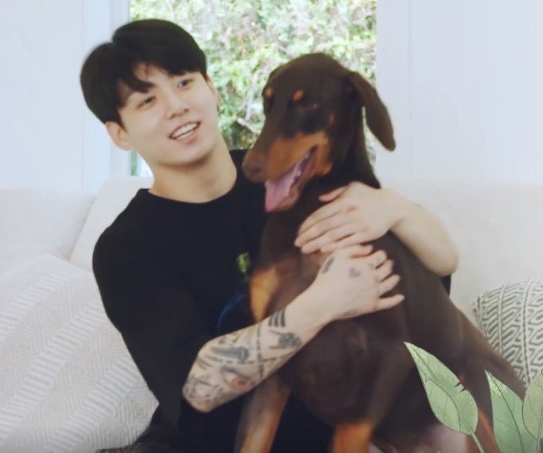 BTS, Jungkook, Bam, Jeon Bam, cún cưng của Jungkook TikTok, Jungkook TikTok, Jungkook dog, Jungkook pet, Jungkook cute, Jungkook sexy, Jungkook cute, Jungkook Bam