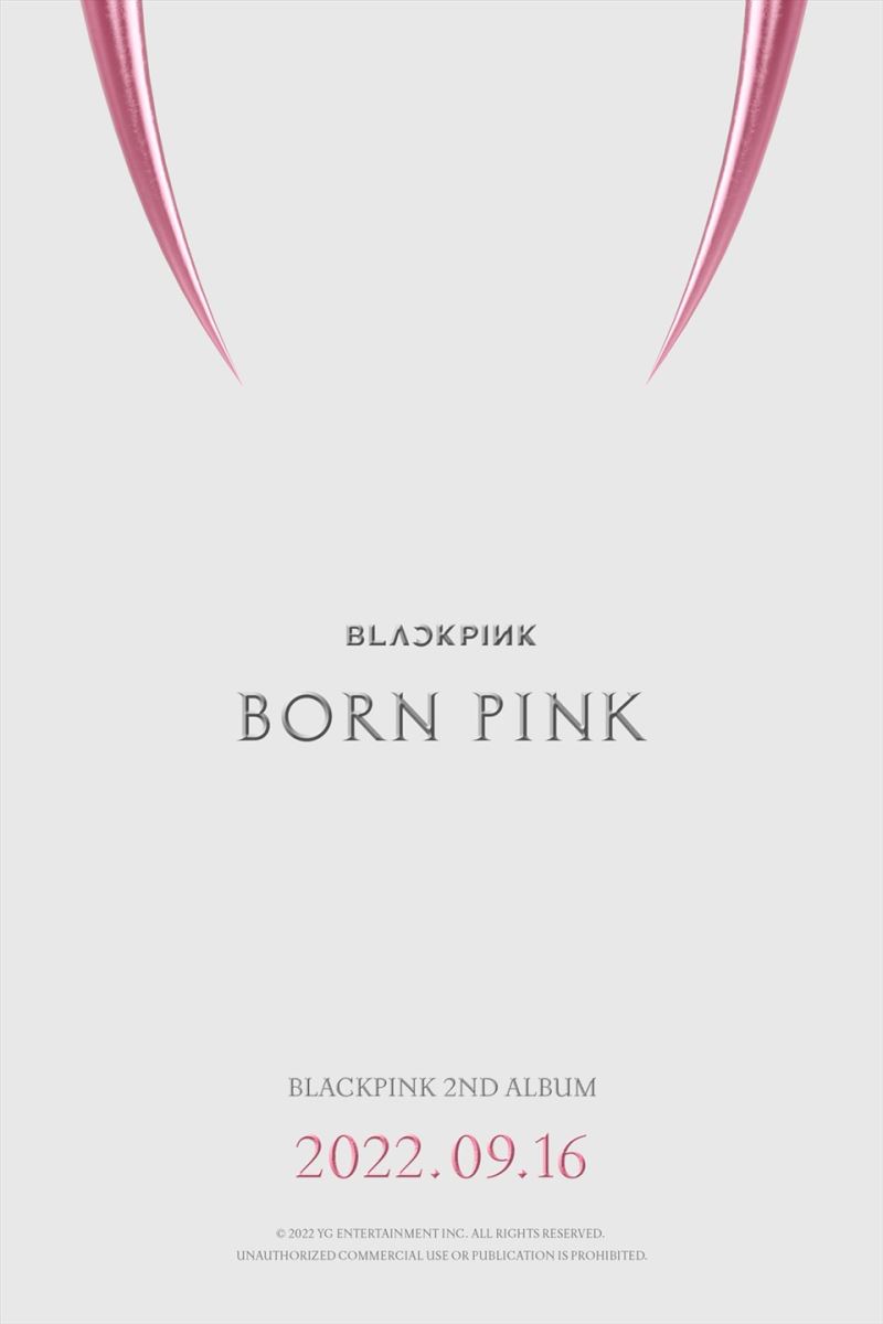 Vector Logo Blackpink  Born Pink World Tour  Download Định Dạng EPS SVG  Cho AI Corel  Hải Triều