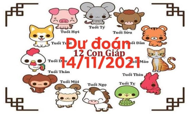 Dự đoán 12 con giáp ngày 14/11/2021: Tuổi Tuất - Hợi tài lộc, tình duyên đều tốt