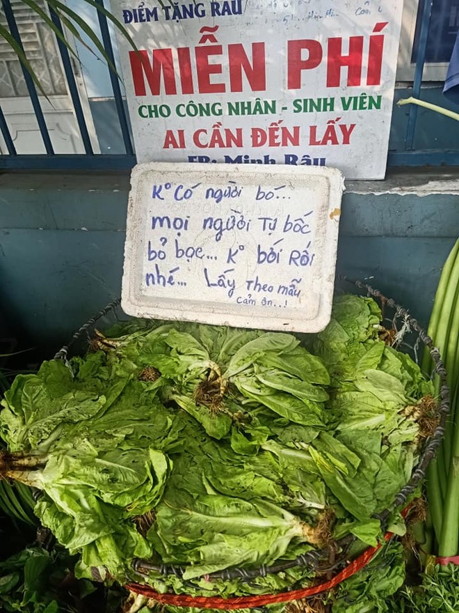 Sài Gòn ta thương, minh râu là ai, mình râu biên hoà, minh râu bán ở đâu, minh râu bán rau, xem Sài Gòn ta thương tập 3, minh rau, minh rau la ai, minh râu ở đâu, minh râu bán rau nổi tiếng