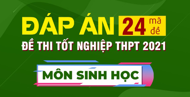 Đáp án đề thi Sinh học Kỳ thi Tốt nghiệp THPT 2021