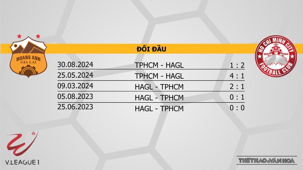 Nhận định bóng đá V-League hôm nay 17/1: HAGL vs TPHCM, Thanh Hoá vs Hà Tĩnh - Ảnh 2.