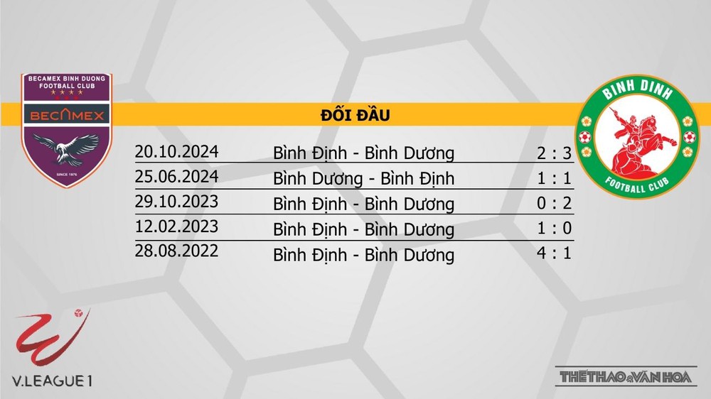 Nhận định bóng đá V-League hôm nay 17/1: HAGL vs TPHCM, Thanh Hoá vs Hà Tĩnh - Ảnh 7.