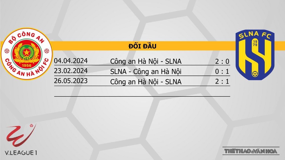 Nhận định bóng đá V-League hôm nay 17/1: HAGL vs TPHCM, Thanh Hoá vs Hà Tĩnh - Ảnh 17.