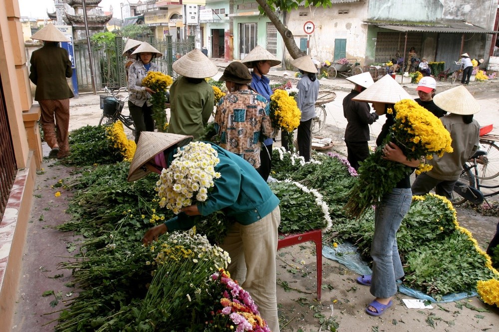 Cuộc sống sau ống kính: Hoa Tết làng tôi - Ảnh 2.