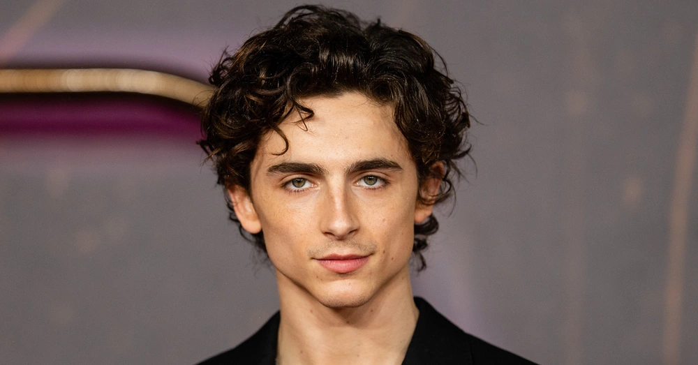 Timothée Chalamet và loạt diễn viên thế hệ mới đang gây bão Hollywood - Ảnh 2.