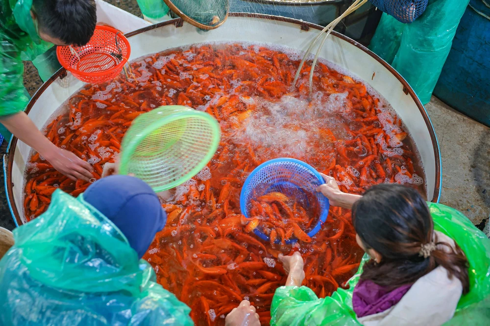 Văn hoá soi đường: Chợ cá Yên Sở nhộn nhịp ngày ông Công, ông Táo - Ảnh 3.