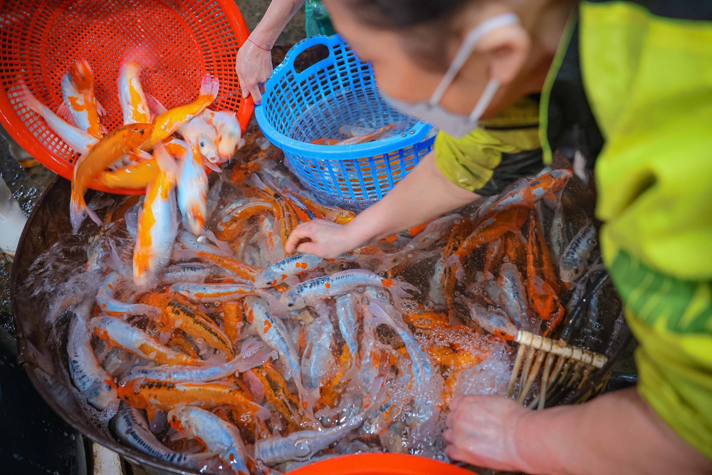 Văn hoá soi đường: Chợ cá Yên Sở nhộn nhịp ngày ông Công, ông Táo - Ảnh 4.