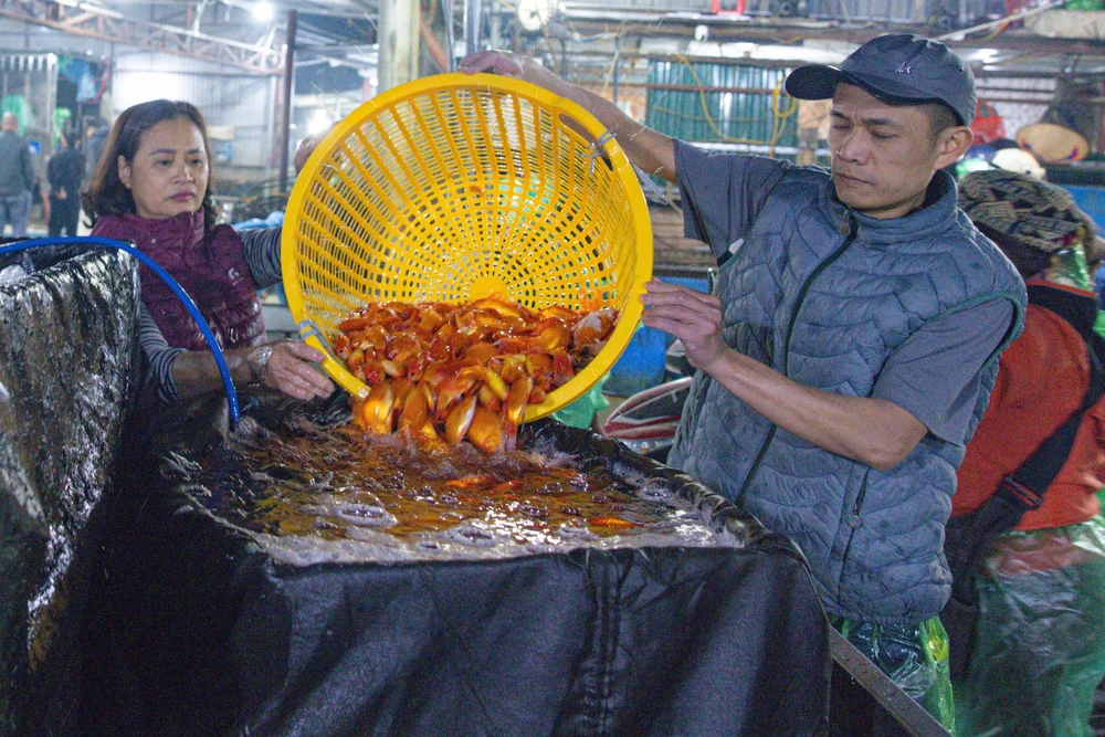 Văn hoá soi đường: Chợ cá Yên Sở nhộn nhịp ngày ông Công, ông Táo - Ảnh 5.