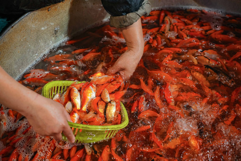 Văn hoá soi đường: Chợ cá Yên Sở nhộn nhịp ngày ông Công, ông Táo - Ảnh 2.