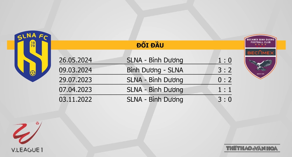 Nhận định bóng đá V-League hôm nay 23/1: SLNA vs Bình Dương - Ảnh 2.