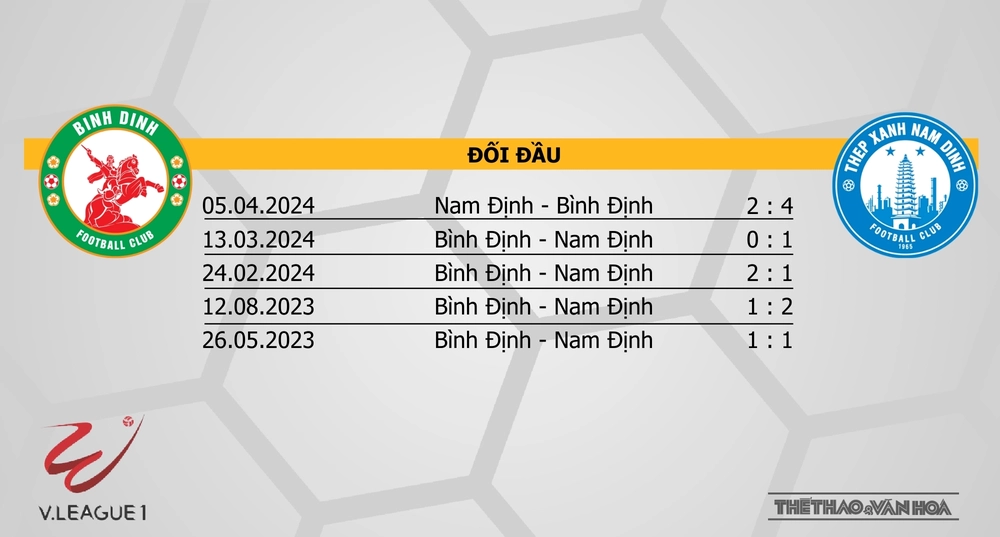 Nhận định bóng đá V-League hôm nay 24/1: Hà Nội vs HAGL, Hà Tĩnh vs Hải Phòng - Ảnh 7.