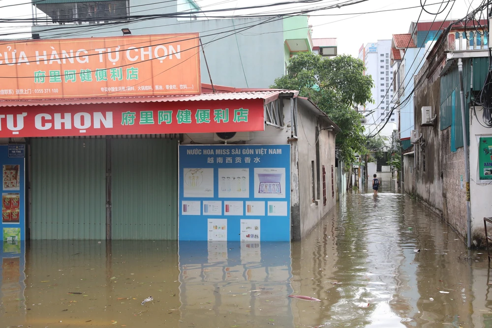 Bão số 10: Nước sông Đáy dâng cao, ảnh hưởng đến đời sống người dân Ninh Bình - Ảnh 3.