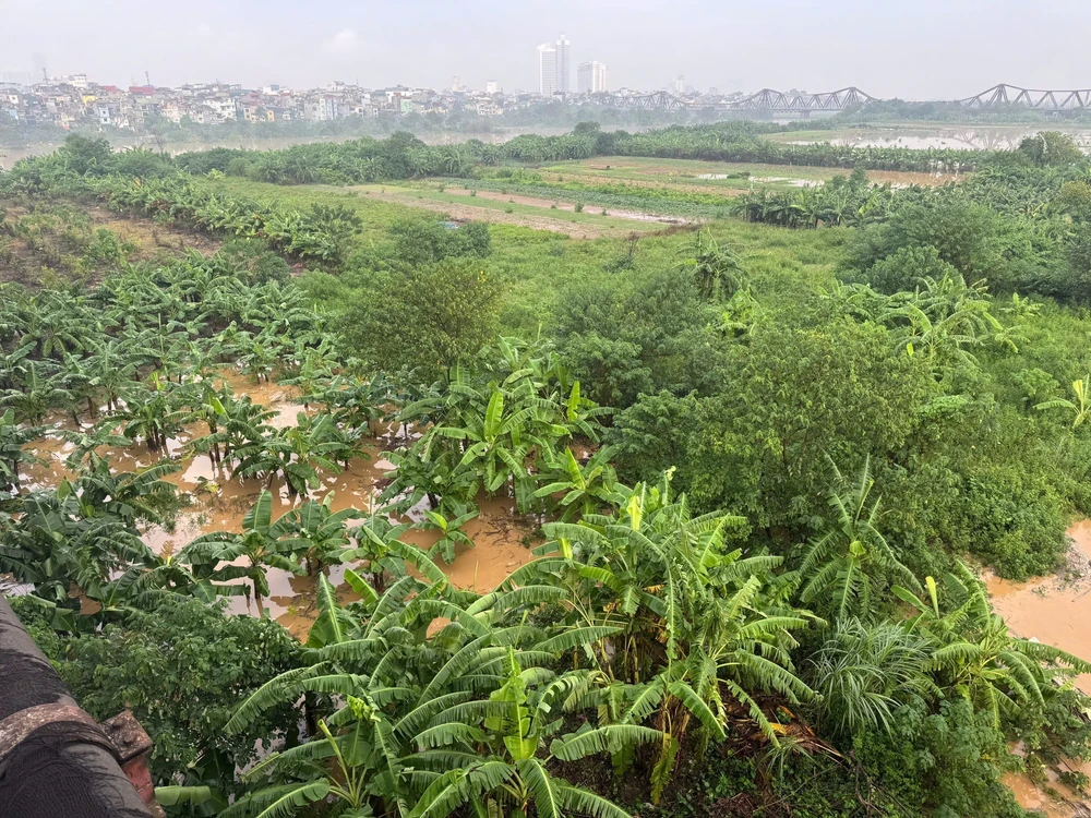 Nước sông Hồng dâng cao, ảnh hưởng đến cuộc sống của người dân Hà Nội - Ảnh 7.