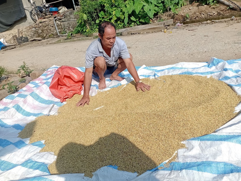 Cập nhật tình hình lũ lụt và công tác cứu trợ ngày 11/10 - Ảnh 4.