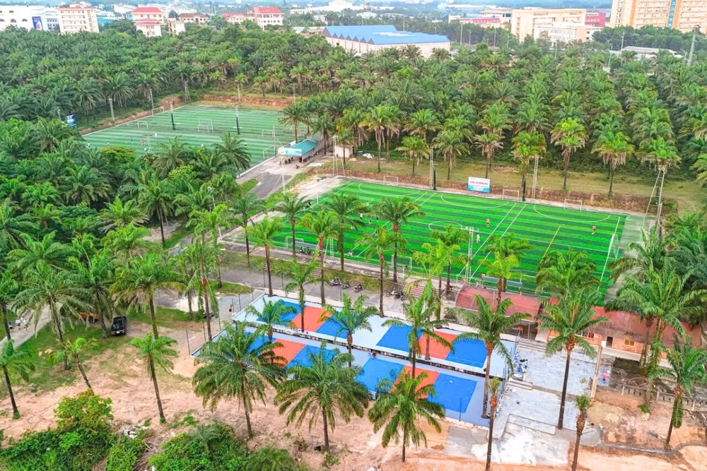 Xu hướng đầu tư sân bóng cỏ nhân tạo hiện nay - Ảnh 2.