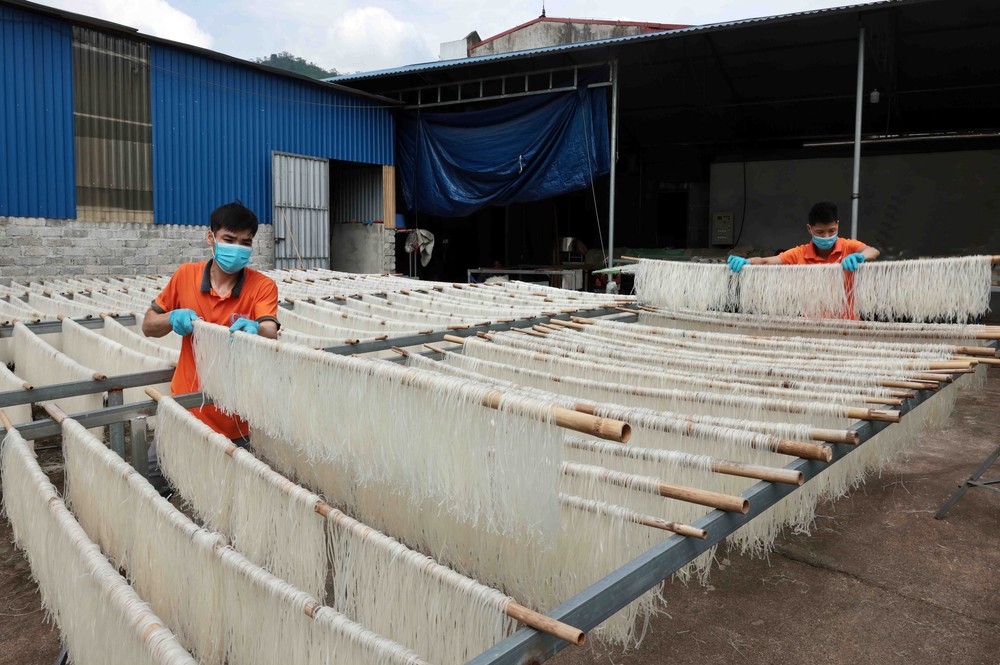 Kinh tế tư nhân trụ cột kiến tạo động lực tăng trưởng mới - Bài 1: Từ khát vọng vươn lên đến quyết tâm hành động - Ảnh 1.