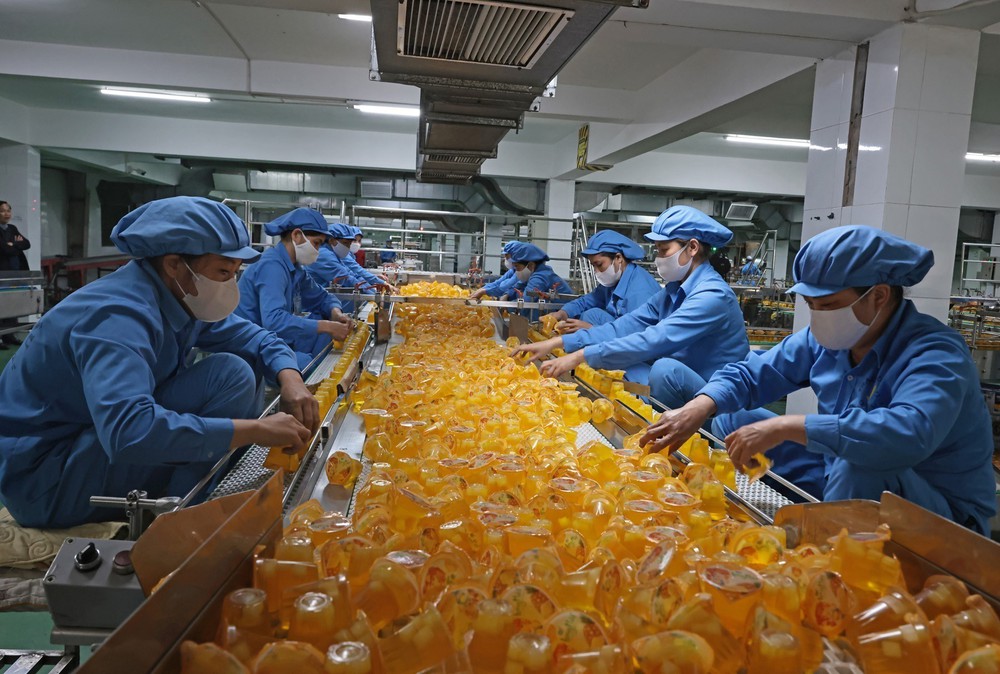 Kinh tế tư nhân trụ cột kiến tạo động lực tăng trưởng mới - Bài 3: Tâm và tầm doanh nghiệp Việt - Ảnh 3.
