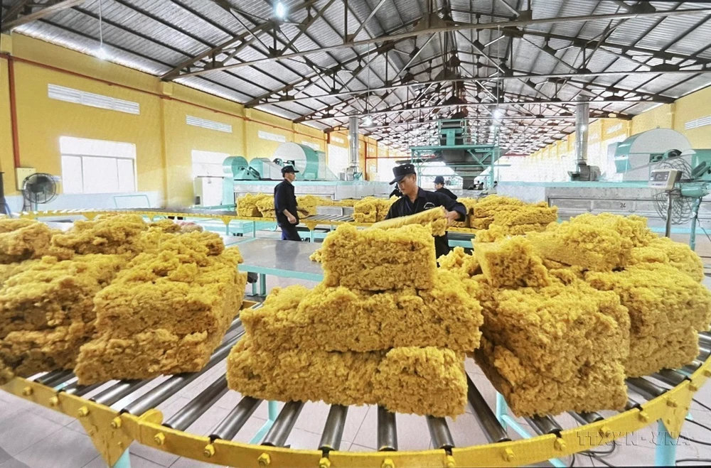 Doanh nhân Việt Nam đóng góp to lớn vào sự nghiệp đổi mới, phát triển đất nước - Ảnh 8.
