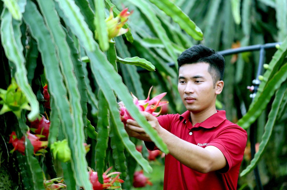 Họp báo Đại hội Đảng bộ Chính phủ: Quyết tâm đạt tăng trưởng hai con số trong nhiệm kỳ 2026–2030 - Ảnh 2.