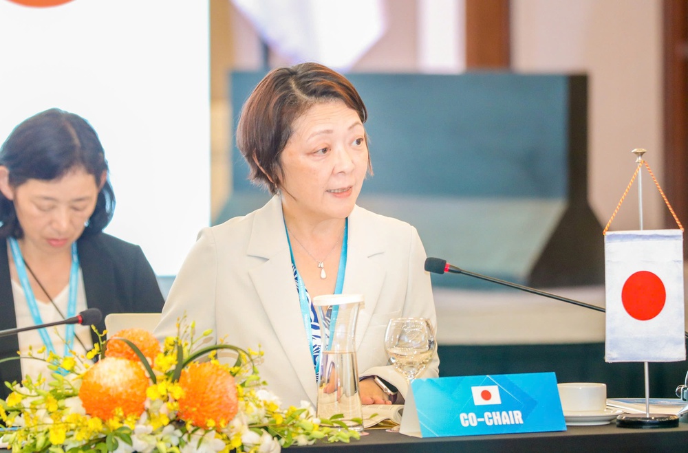 5 trọng tâm trong chiến lược hợp tác ASEAN - Nhật Bản giai đoạn 2025-2030 - Ảnh 1.