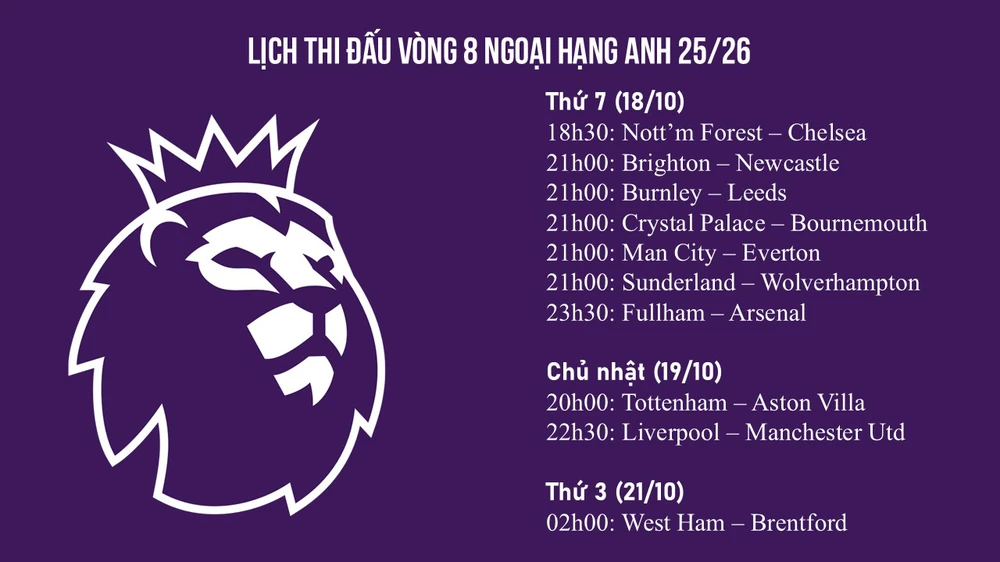 Link xem trực tiếp bóng đá Man City vs Everton 21h00 hôm nay, Ngoại hạng Anh vòng 8 - Ảnh 4.