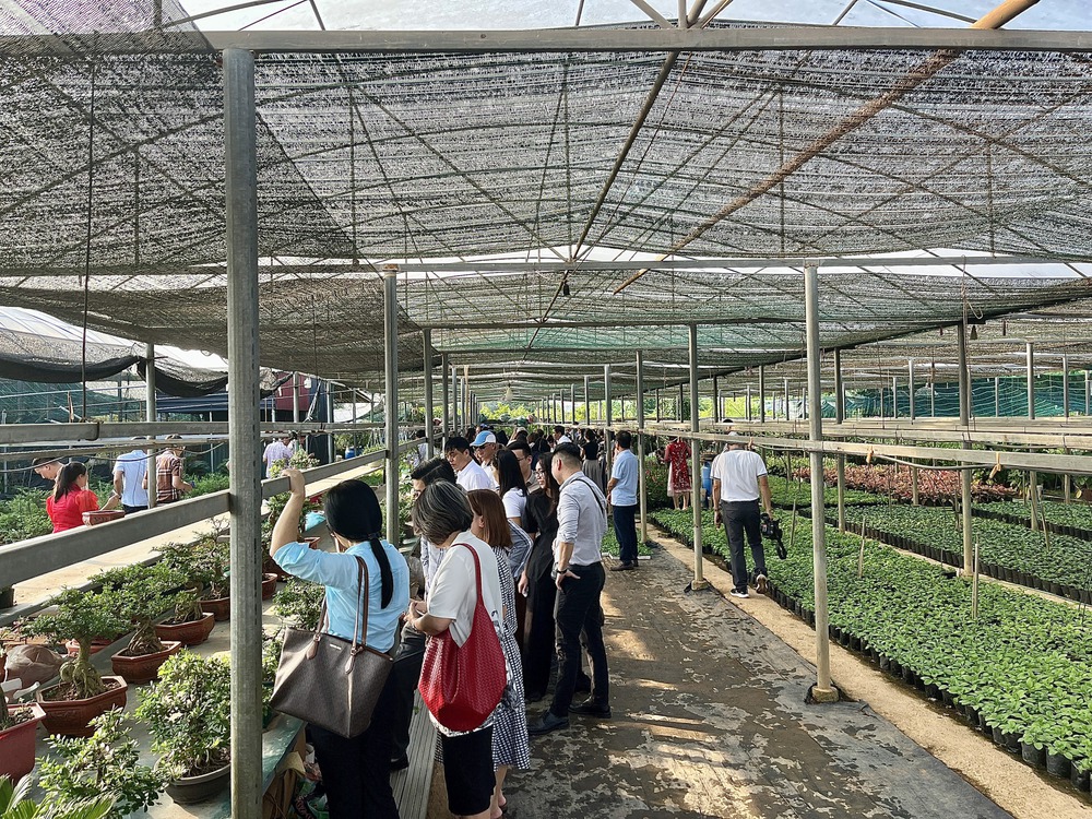 Hà Nội công bố sản phẩm du lịch mới 2025: Thúc đẩy liên kết 'chính quyền - doanh nghiệp - cộng đồng' - Ảnh 3. Hà Nội công bố sản phẩm du lịch mới 2025: Thúc đẩy liên kết 'chính quyền - doanh nghiệp - cộng đồng' - Ảnh 3.