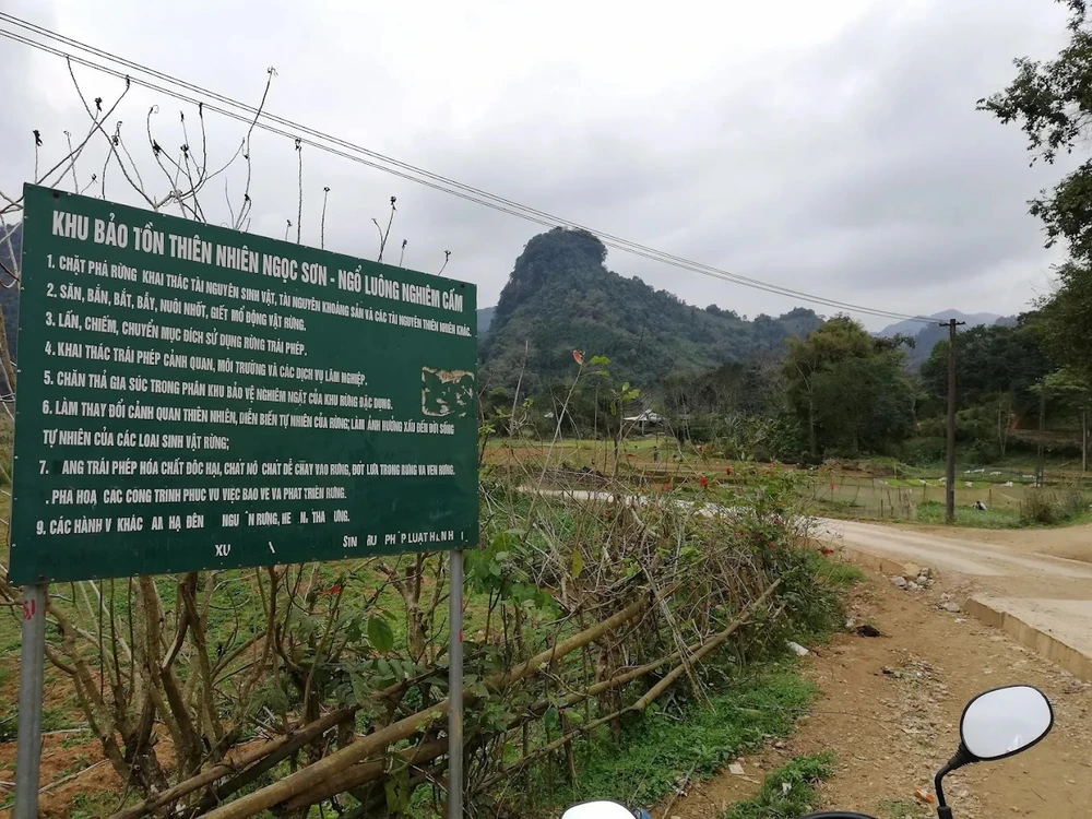 Không có chuyện hổ xuất hiện tại xã Ngọc Sơn, Phú Thọ - Ảnh 1.