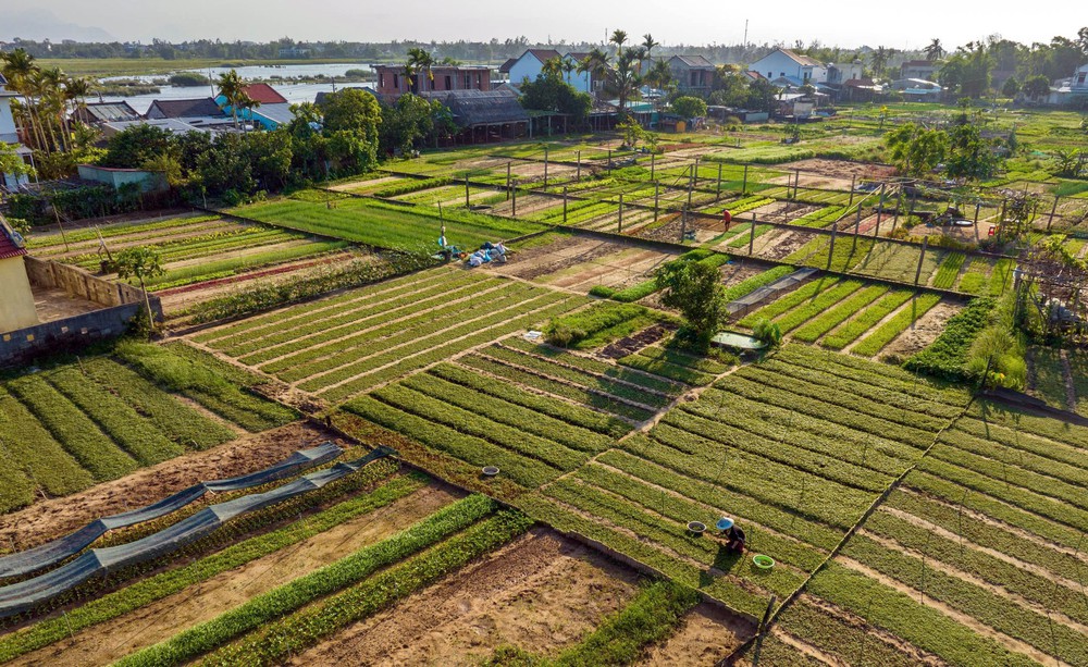 Tiếp tục phát huy hợp tác giữa Việt Nam và Tổ chức Du lịch LHQ ngày càng thực chất, hiệu quả - Ảnh 3.