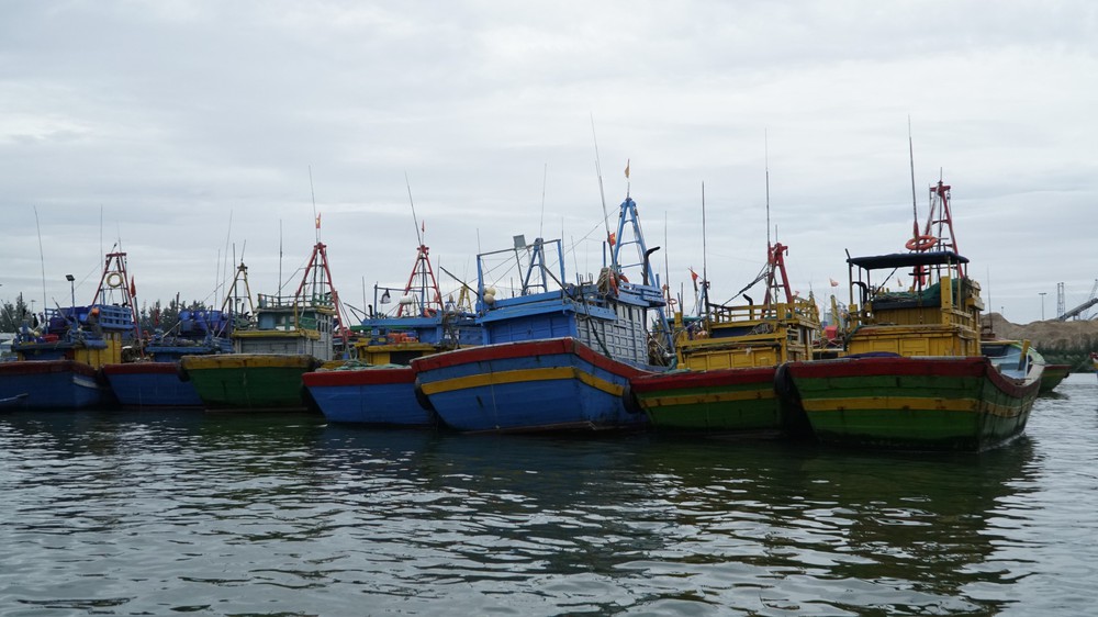 Các địa phương ứng phó bão số 12 - Ảnh 5.