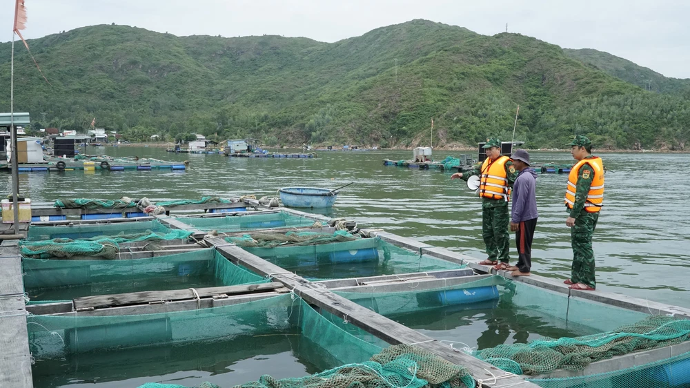 Các địa phương ứng phó bão số 12 - Ảnh 2.