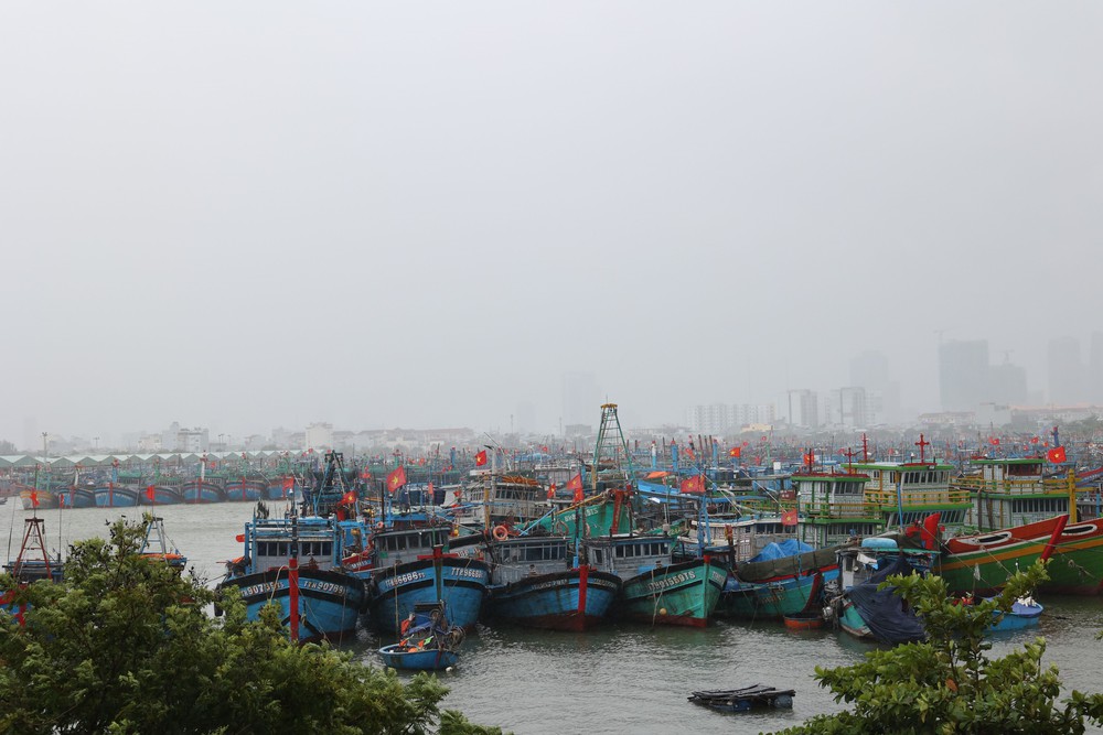 Các địa phương khẩn trương ứng phó bão số 12 - Ảnh 2.