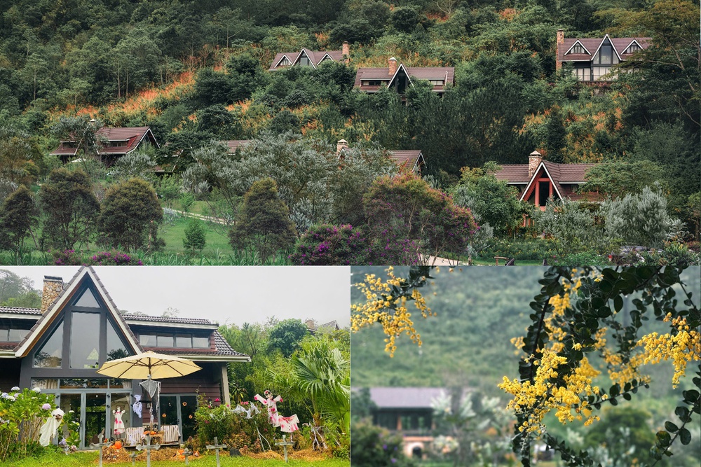 Trải nghiệm Halloween giữa rừng thu Lat Valley Reatreat Village - Ảnh 2.