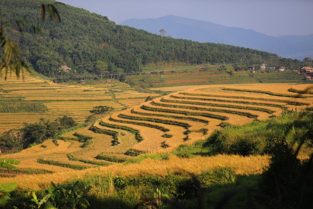 Đưa ruộng bậc thang Miền Đồi trở thành điểm đến hấp dẫn trên bản đồ du lịch Việt Nam - Ảnh 4.