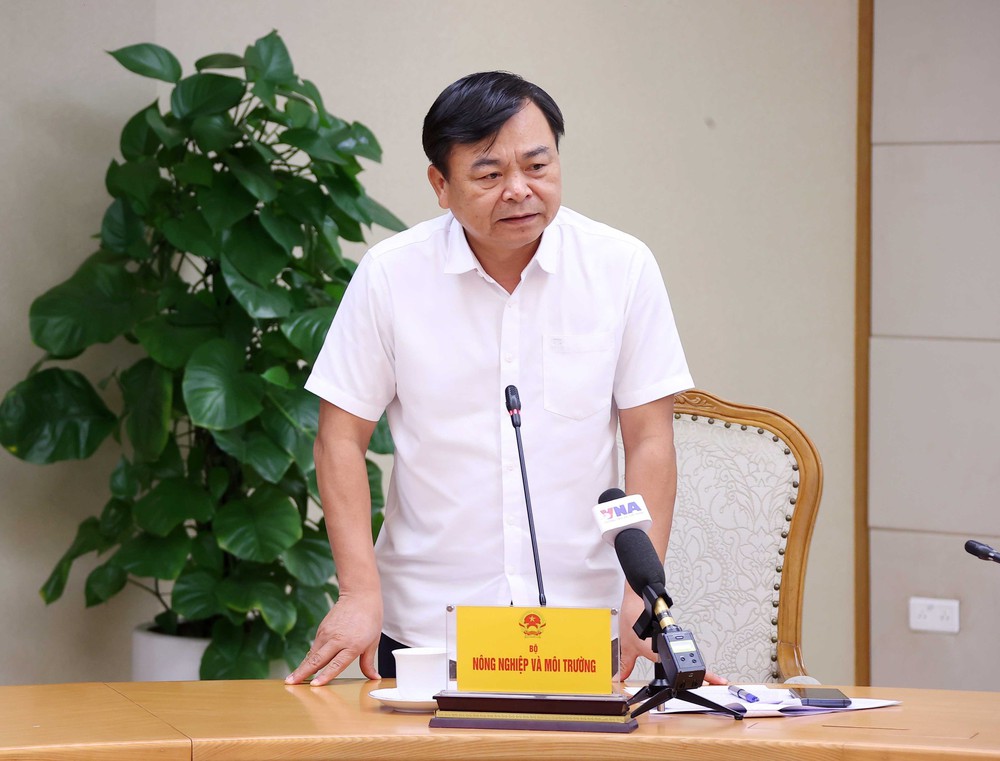 Phó Thủ tướng Trần Hồng Hà họp triển khai công tác ứng phó với cơn bão số 12 - Ảnh 3.