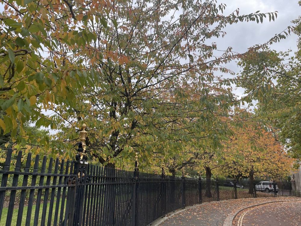 Quyến rũ sắc Thu London - Ảnh 1.