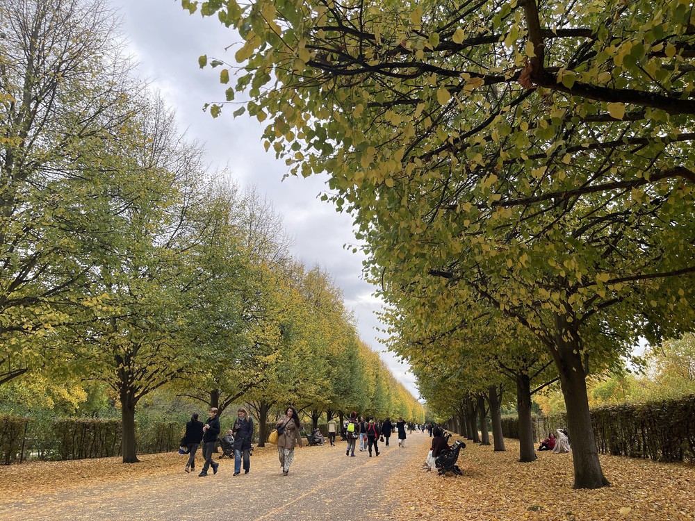 Quyến rũ sắc Thu London - Ảnh 5.