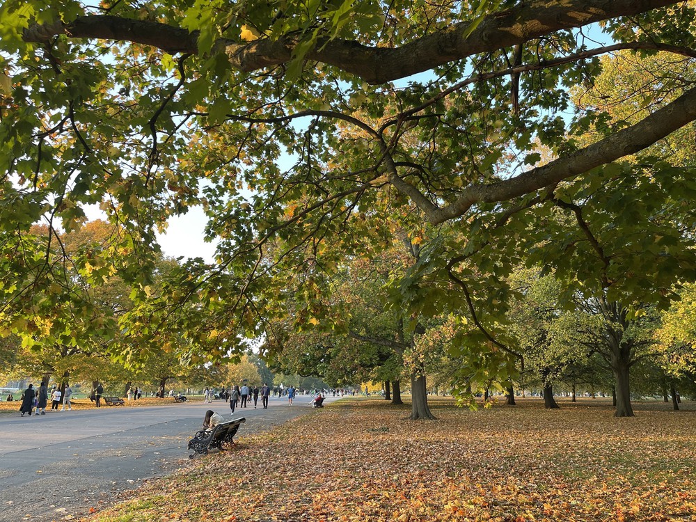 Quyến rũ sắc Thu London - Ảnh 6.