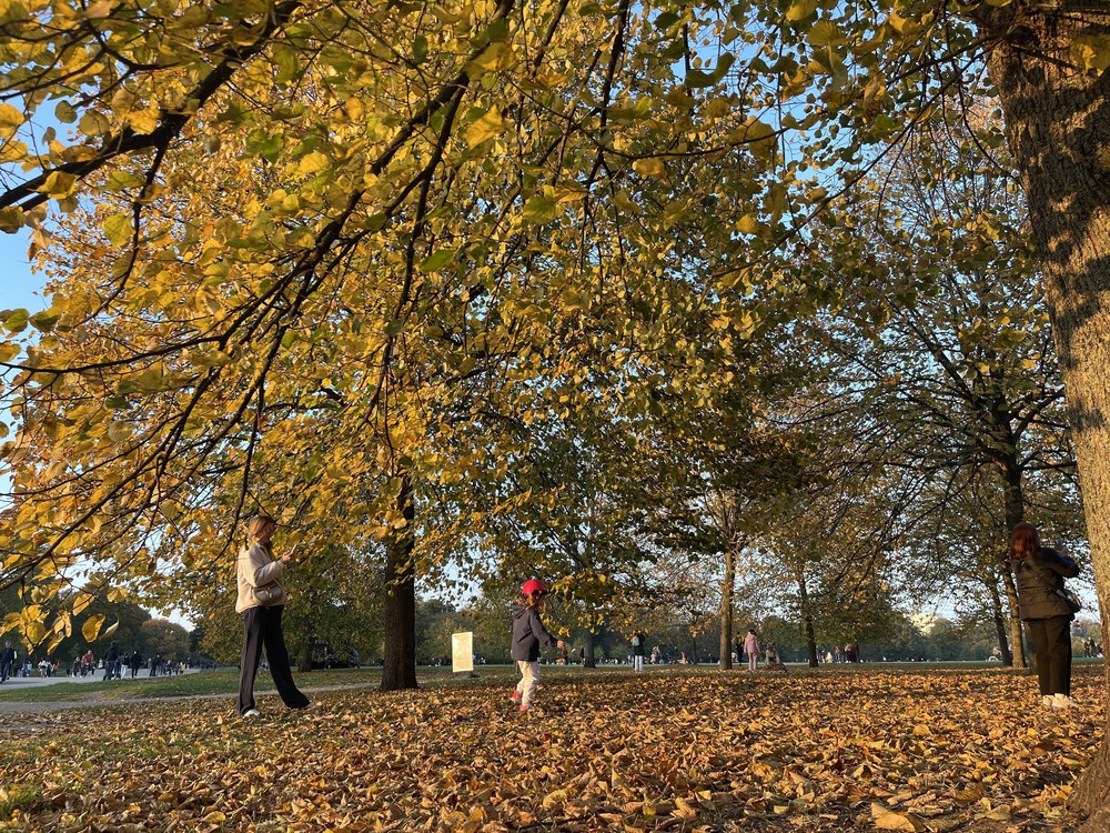 Quyến rũ sắc Thu London - Ảnh 8.