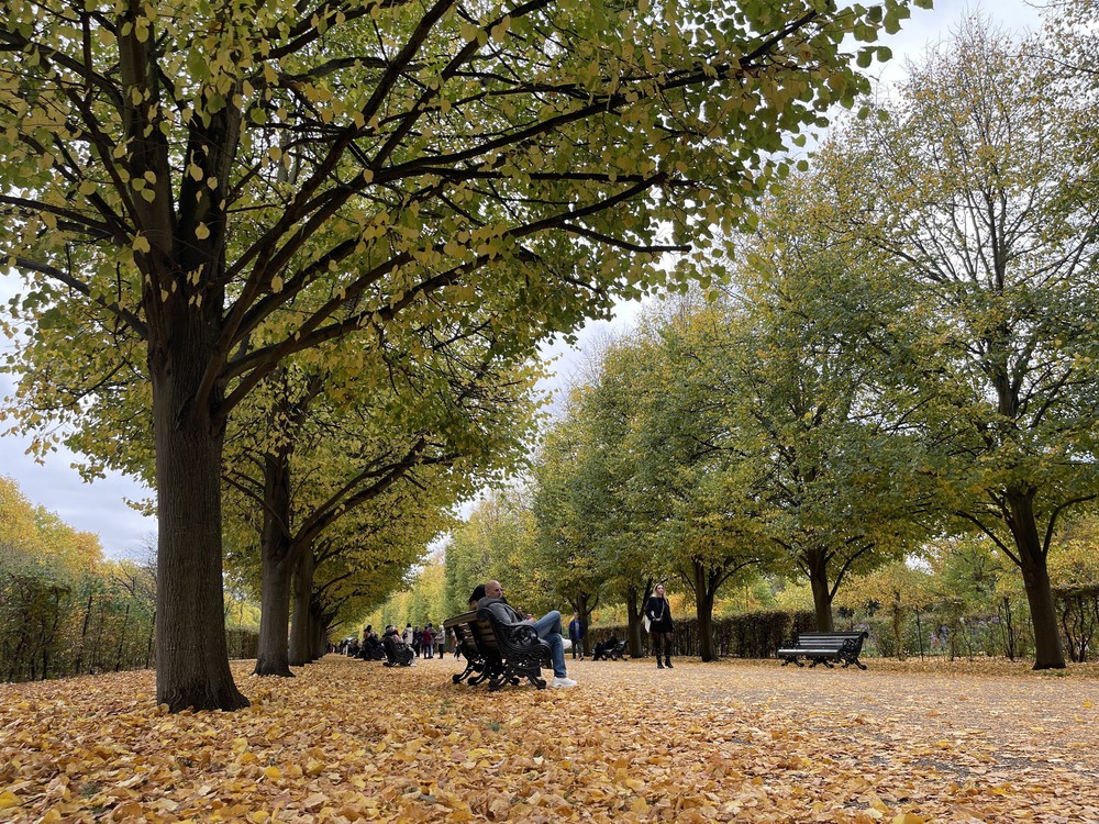 Quyến rũ sắc Thu London - Ảnh 9.