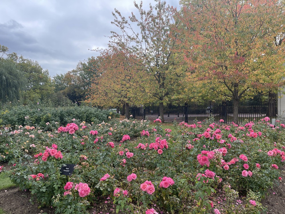 Quyến rũ sắc Thu London - Ảnh 10.