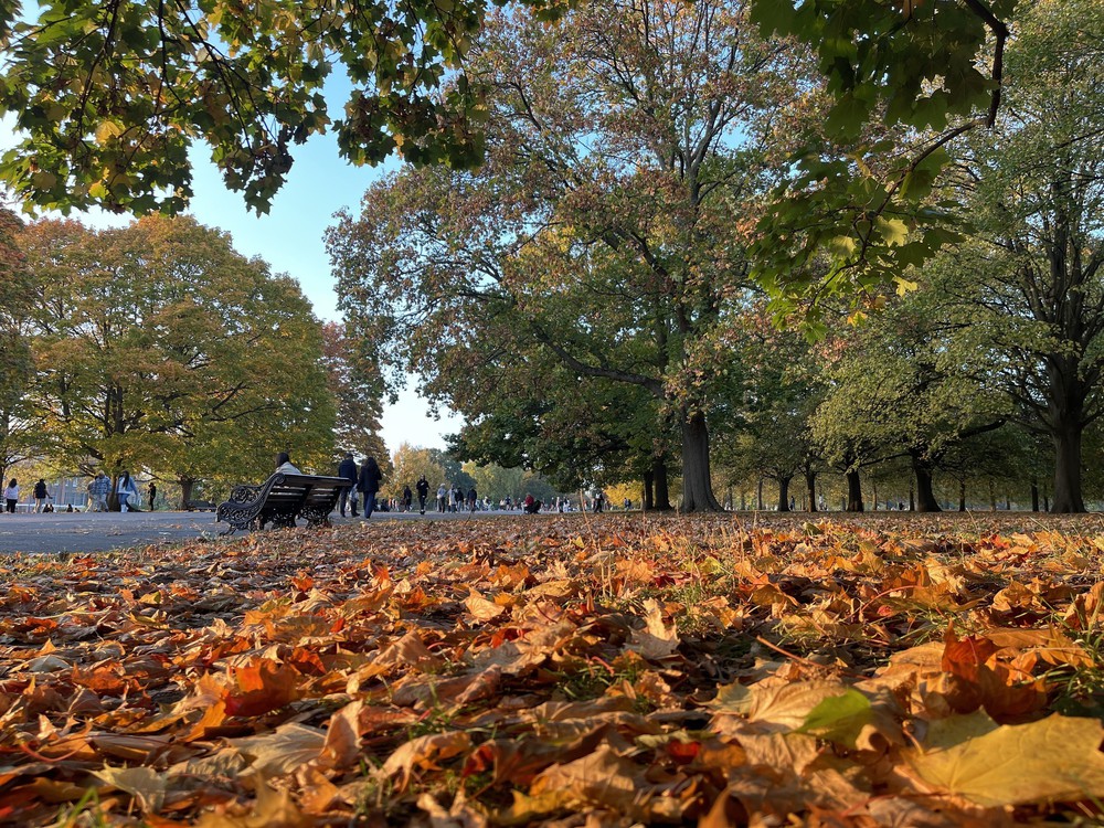 Quyến rũ sắc Thu London - Ảnh 11.