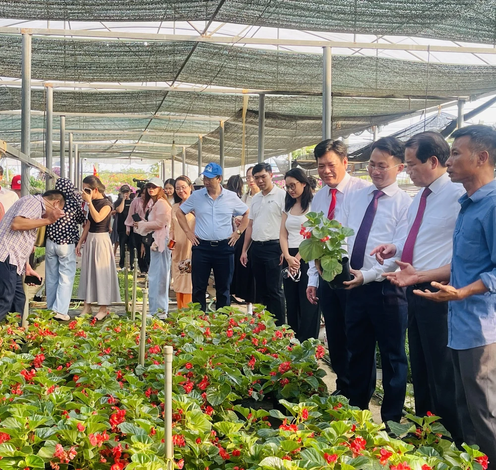 Ngành du lịch Hà Nội đón 2,27 triệu lượt khách, thu gần 10 nghìn tỷ đồng trong tháng 10/2025 - Ảnh 2.