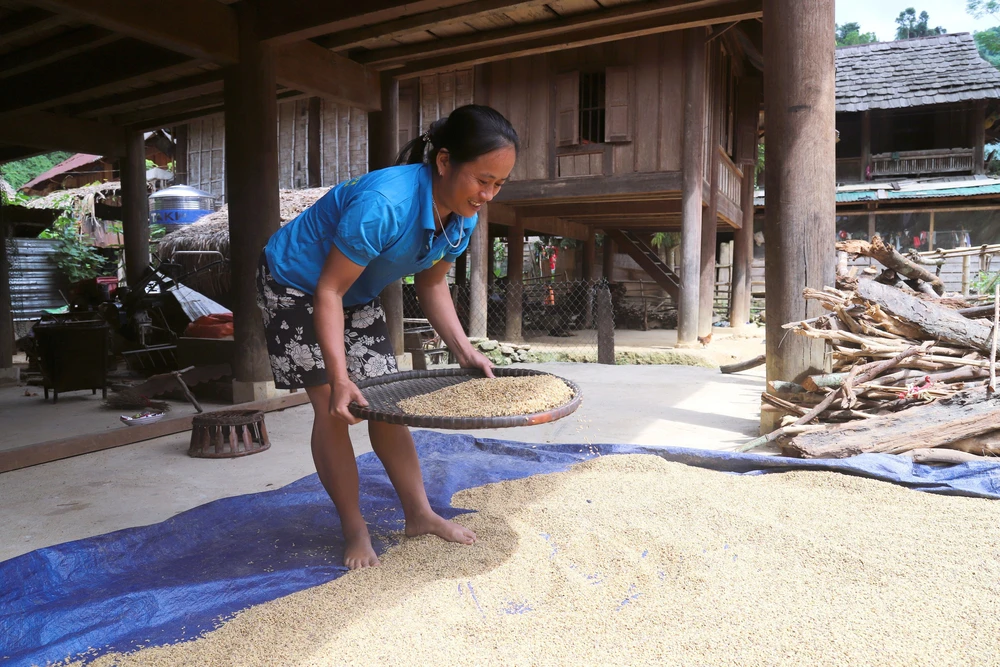 Bản Na Ngân (Nghệ An) từng bước "hồi sinh" sau lũ dữ - Ảnh 3. Bản Na Ngân (Nghệ An) từng bước "hồi sinh" sau lũ dữ - Ảnh 3.