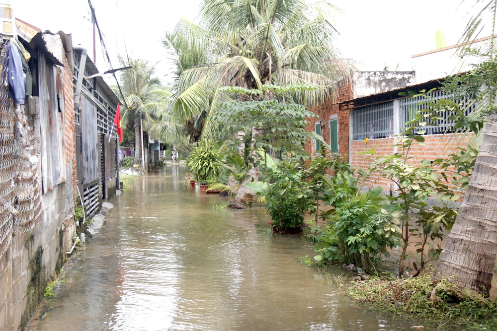 Các địa phương ven biển của tỉnh Lâm Đồng thiệt hại nặng nề do mưa lũ - Ảnh 8. Các địa phương ven biển của tỉnh Lâm Đồng thiệt hại nặng nề do mưa lũ - Ảnh 8.