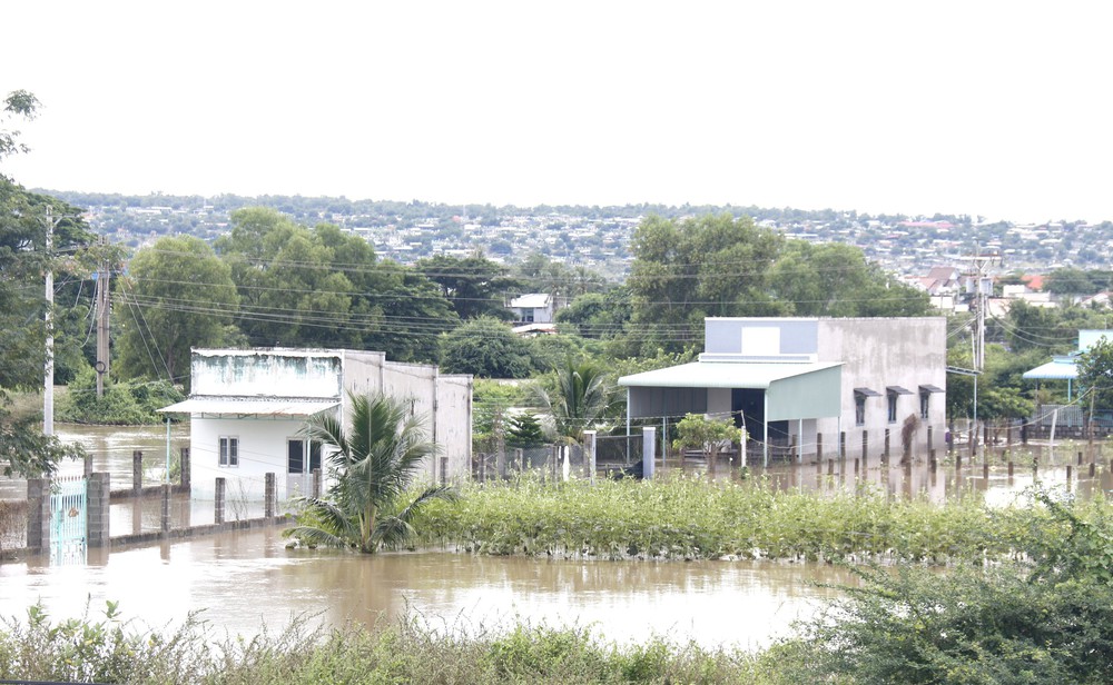 Các địa phương ven biển của tỉnh Lâm Đồng thiệt hại nặng nề do mưa lũ - Ảnh 5. Các địa phương ven biển của tỉnh Lâm Đồng thiệt hại nặng nề do mưa lũ - Ảnh 5.