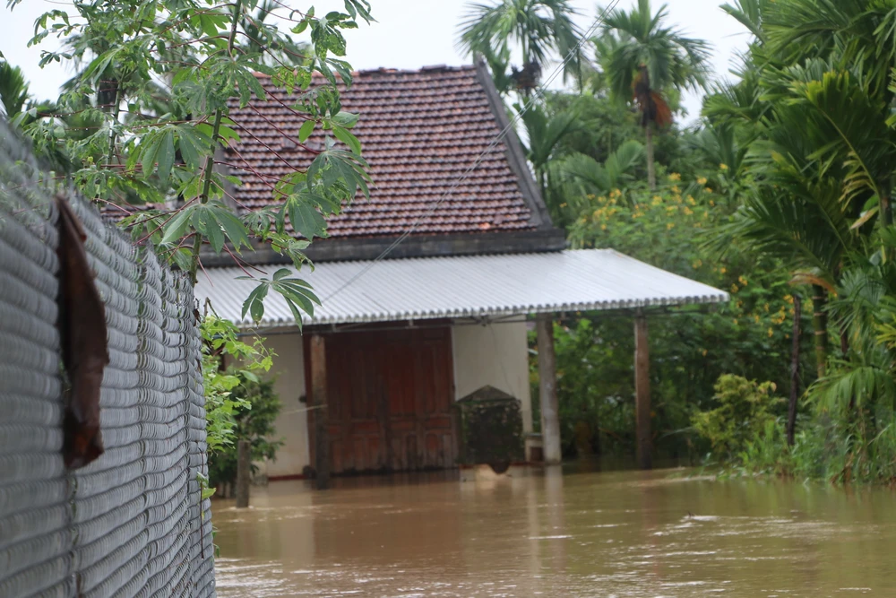 Quảng Ngãi: Mưa lũ gây ngập, chia cắt nhiều nơi - Ảnh 7. Quảng Ngãi: Mưa lũ gây ngập, chia cắt nhiều nơi - Ảnh 7.