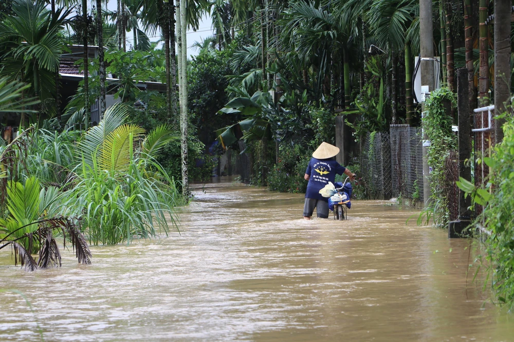 Quảng Ngãi: Mưa lũ gây ngập, chia cắt nhiều nơi - Ảnh 6. Quảng Ngãi: Mưa lũ gây ngập, chia cắt nhiều nơi - Ảnh 6.
