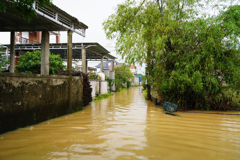 Mưa lớn kéo dài khiến nhiều địa phương tại Quảng Trị ngập sâu - Ảnh 5. Mưa lớn kéo dài khiến nhiều địa phương tại Quảng Trị ngập sâu - Ảnh 5.