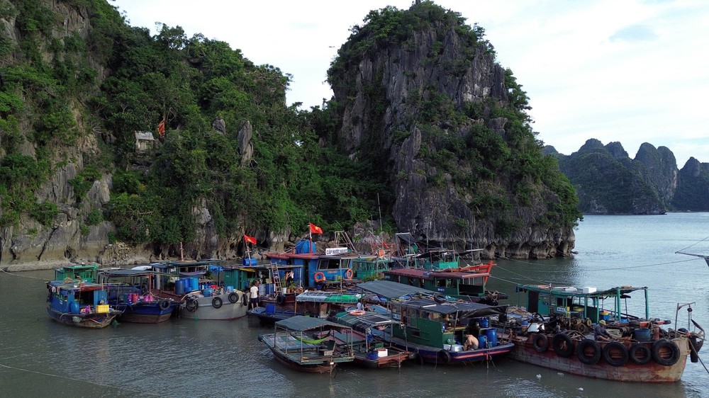 Ứng phó bão số 11: Các địa phương gấp rút kiểm đếm tàu thuyền, bảo vệ đê điều và sản xuất - Ảnh 1.